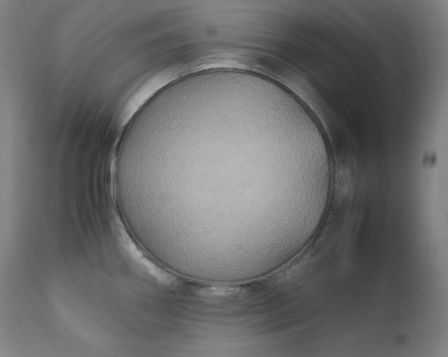 X0000111211290200907151429