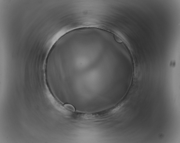 X0000111211291200907151429