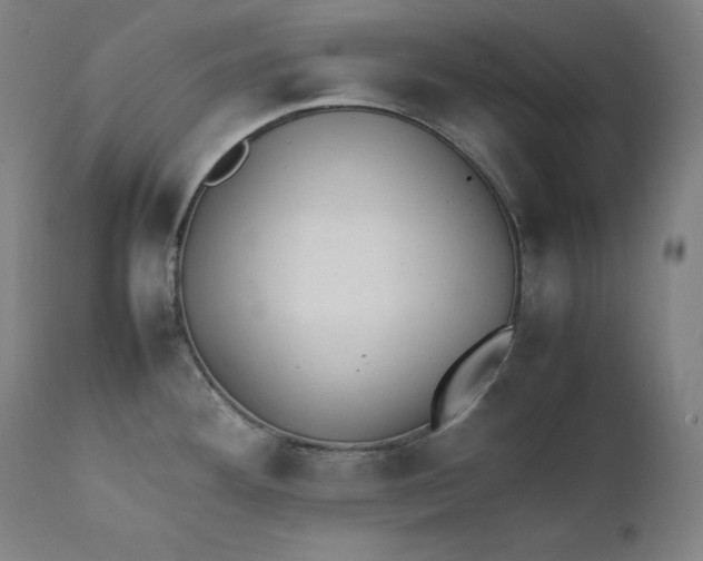 X0000111211292200907151429