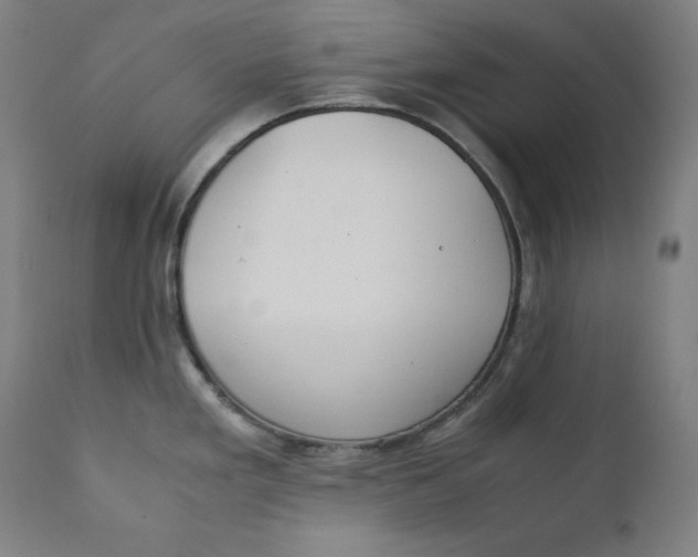 X0000111211293200907151429