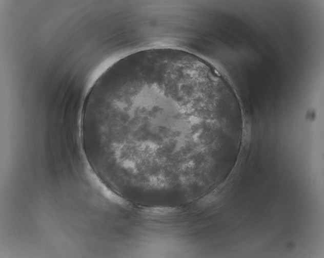 X0000111211294200907151429