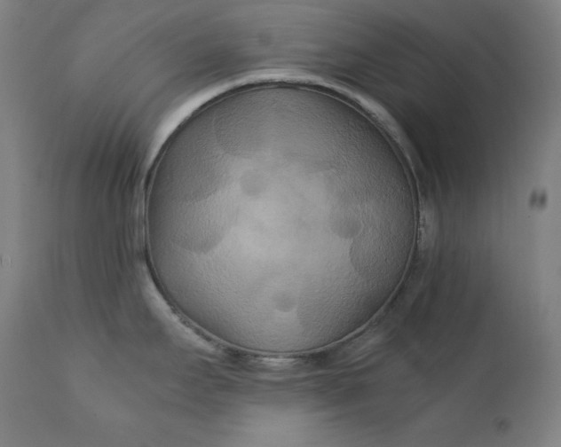 X0000111211295200907151429