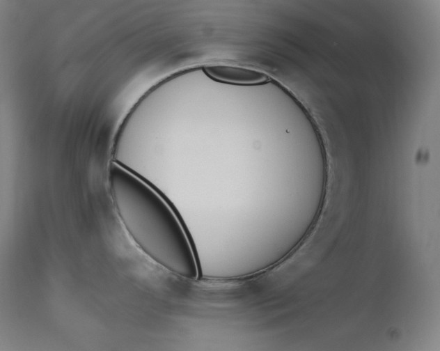 X0000111211296200907151429