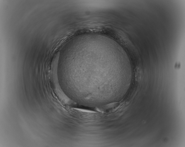 X0000111211298200907151428