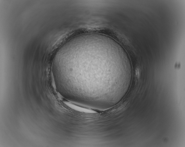 X0000111211300200907151428