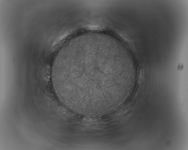 X0000111211301200907151428