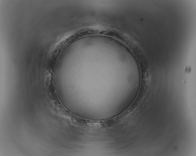 X0000111211302200907151428