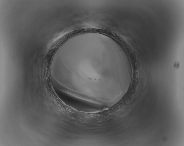 X0000111211303200907151428