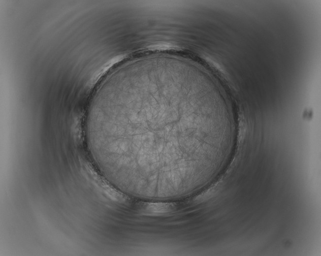 X0000111211305200907151428