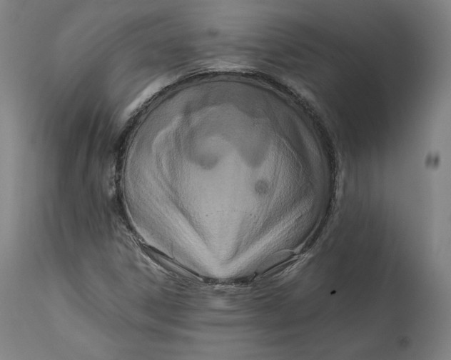 X0000111211306200907151428