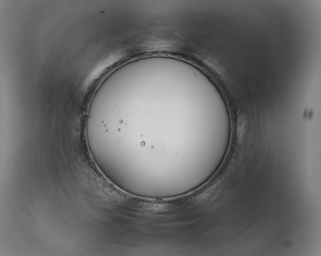 X0000111211309200907151428