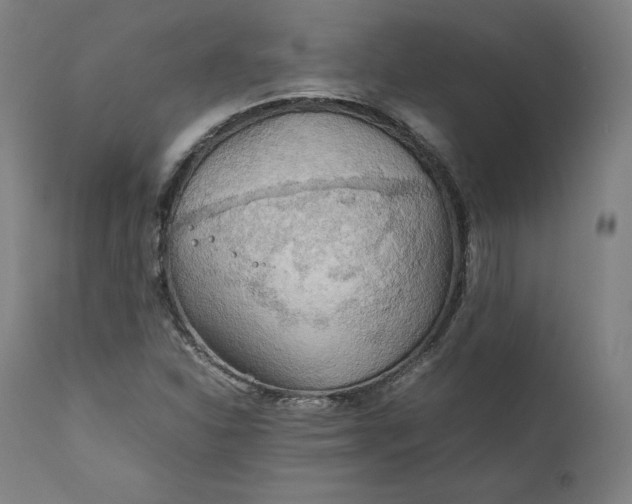 X0000111211310200907151428