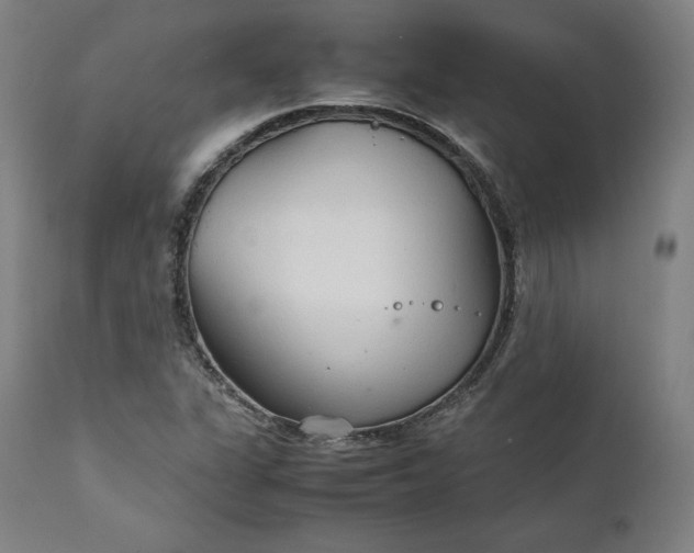 X0000111211311200907151428