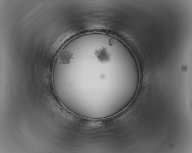 X0000111211313200907151428