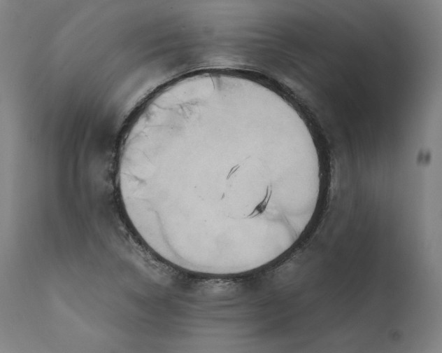 X0000111211314200907151428