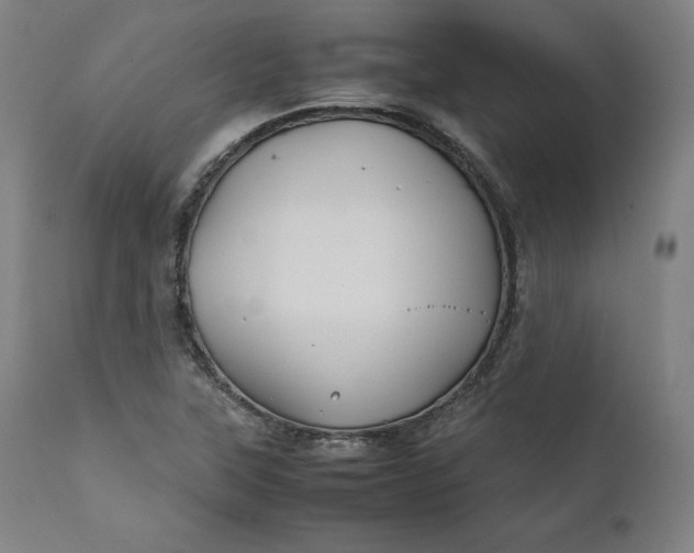 X0000111211315200907151428