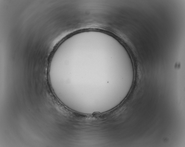 X0000111211316200907151428