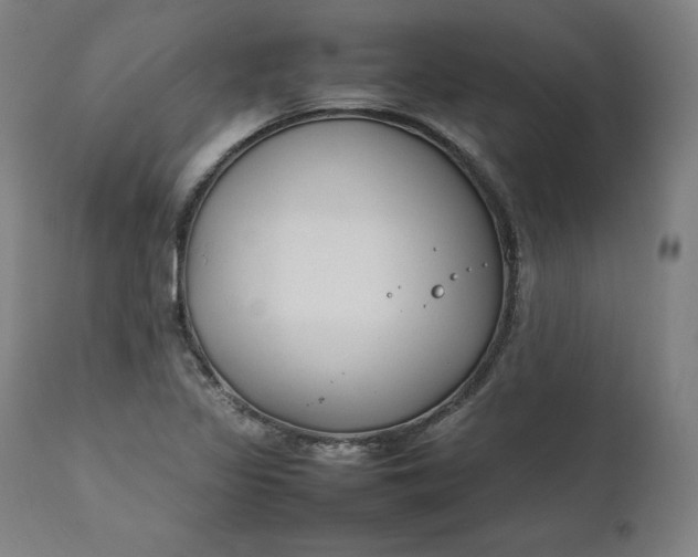 X0000111211317200907151428