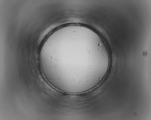 X0000111211318200907151428