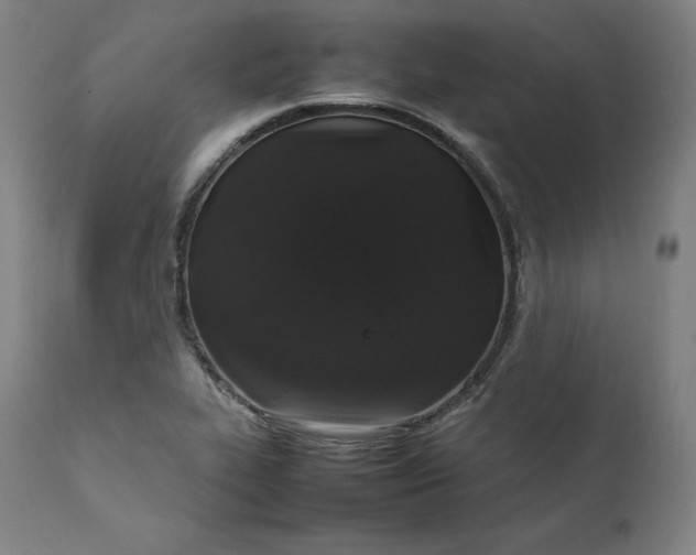 X0000111211319200907151428