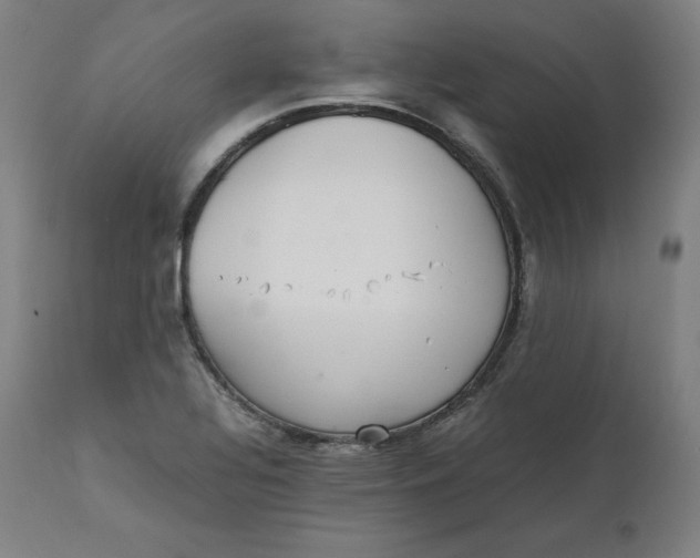 X0000111211320200907151428