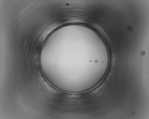 X0000111211321200907151428