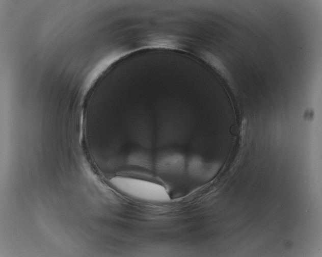 X0000111211323200907151428