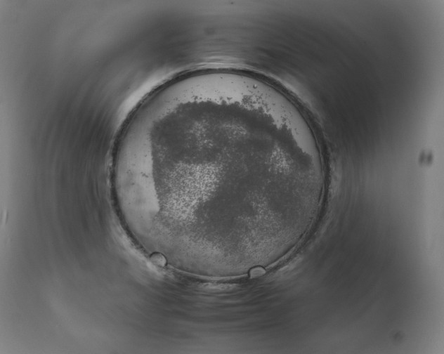 X0000111211325200907151428