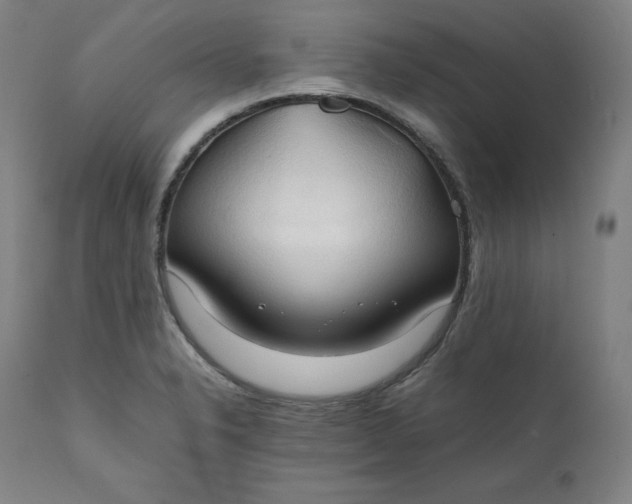 X0000111211326200907151428