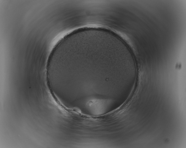 X0000111211327200907151428