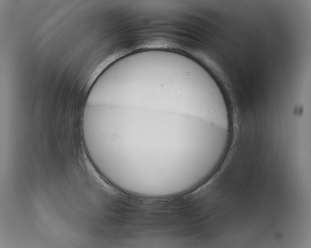 X0000111211329200907151428