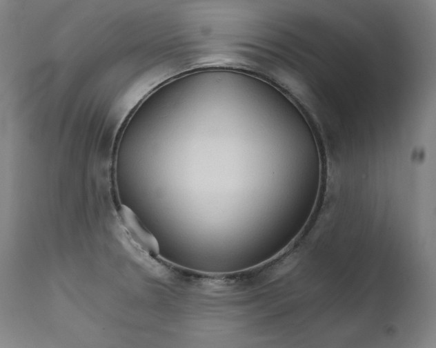 X0000111211330200907151428