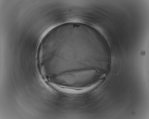 X0000111211331200907151428