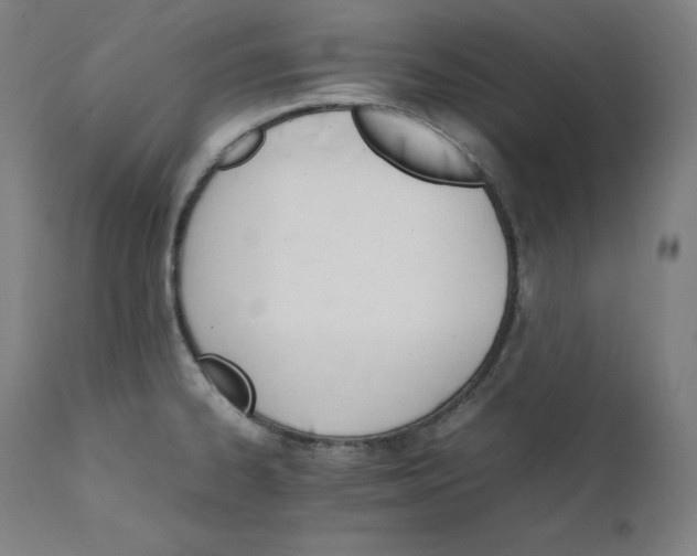 X0000111211334200907151429