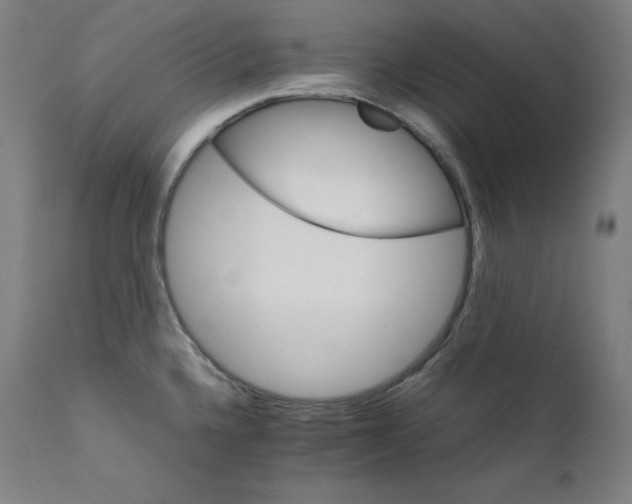 X0000111211336200907151429