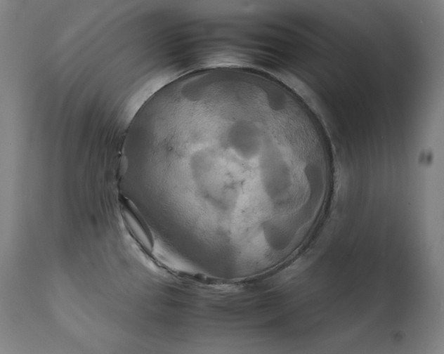 X0000111211337200907151429