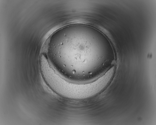 X0000111211338200907151429