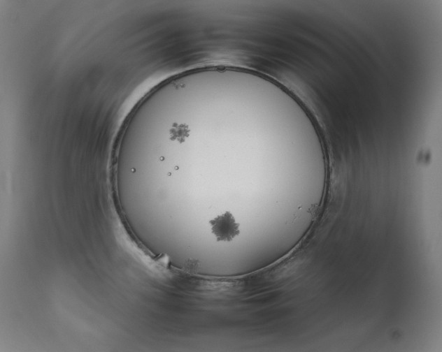 X0000111211339200907151429