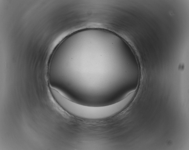 X0000111211342200907151429