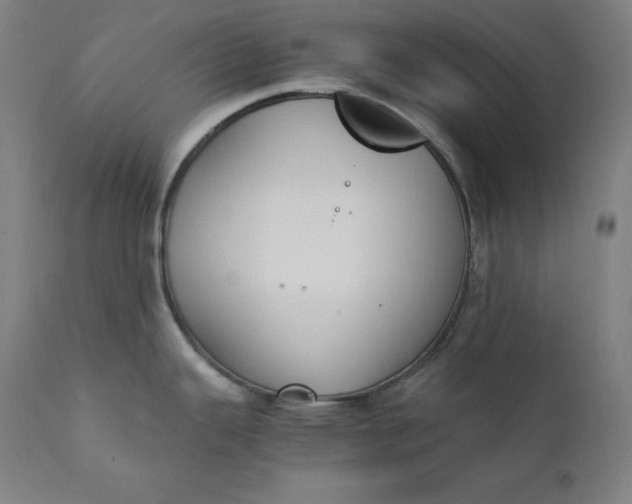 X0000111211343200907151429