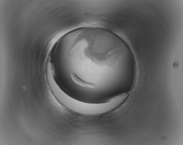 X0000111211344200907151429