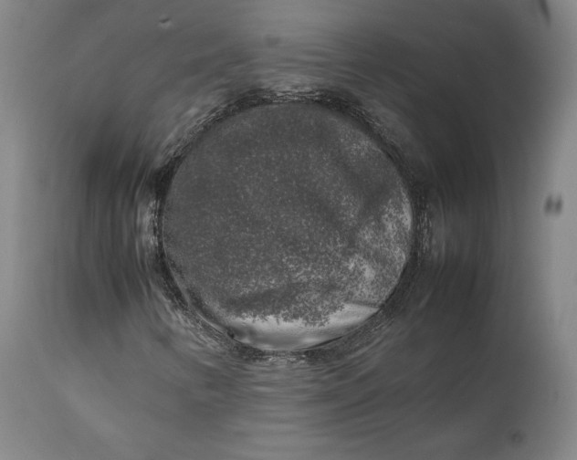 X0000111211346200907151428