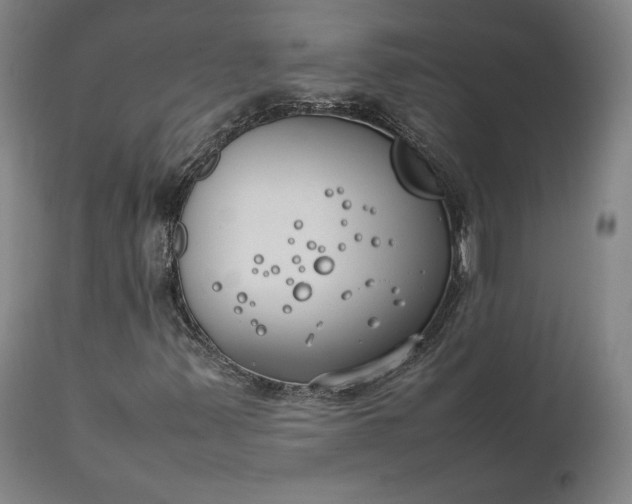 X0000111211347200907151428