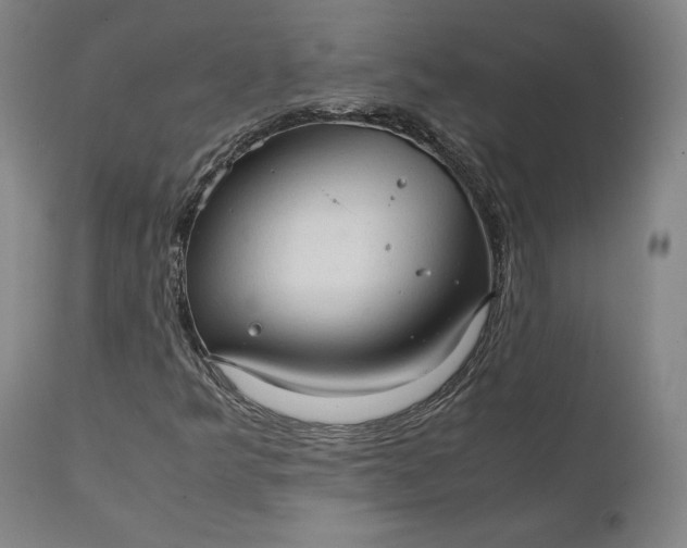 X0000111211349200907151428