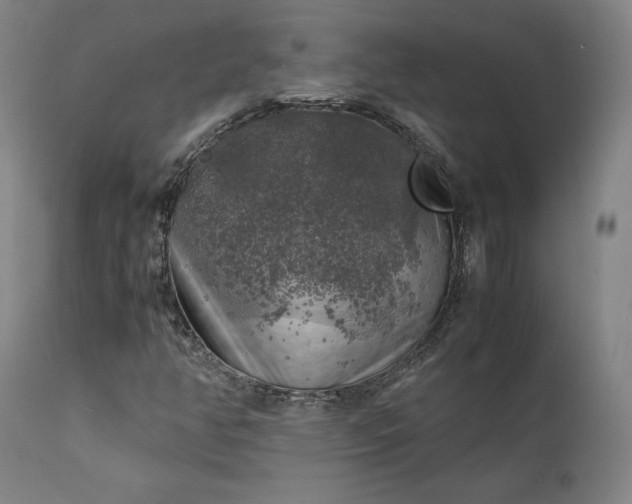 X0000111211350200907151428