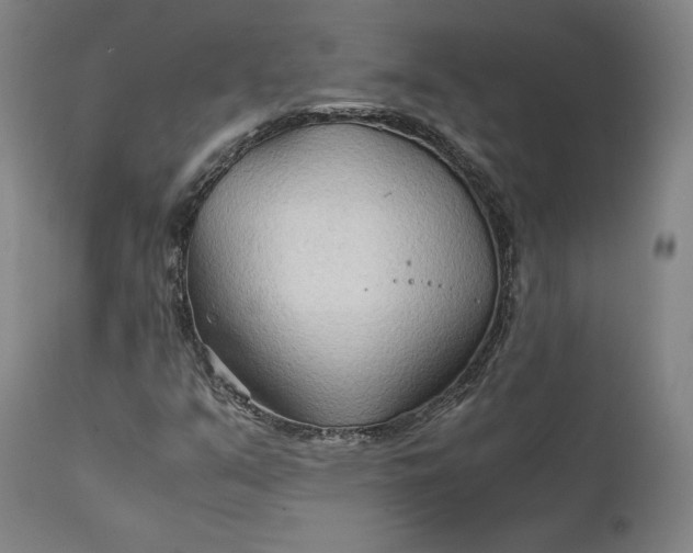 X0000111211351200907151428