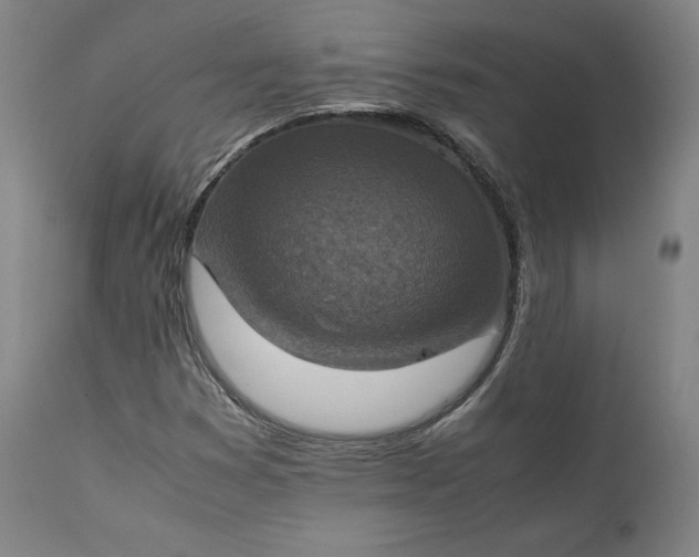 X0000111211353200907151428