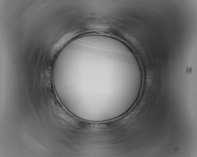 X0000111211354200907151428