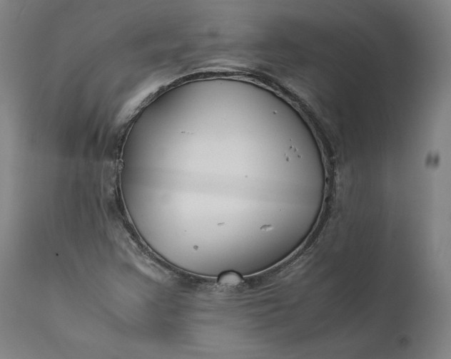 X0000111211355200907151428