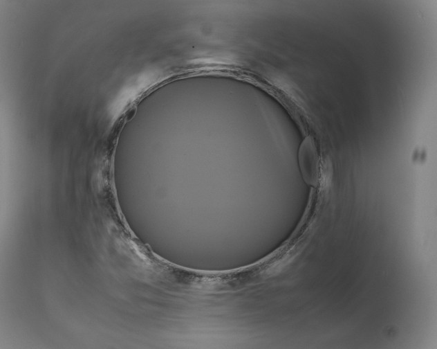 X0000111211357200907151428